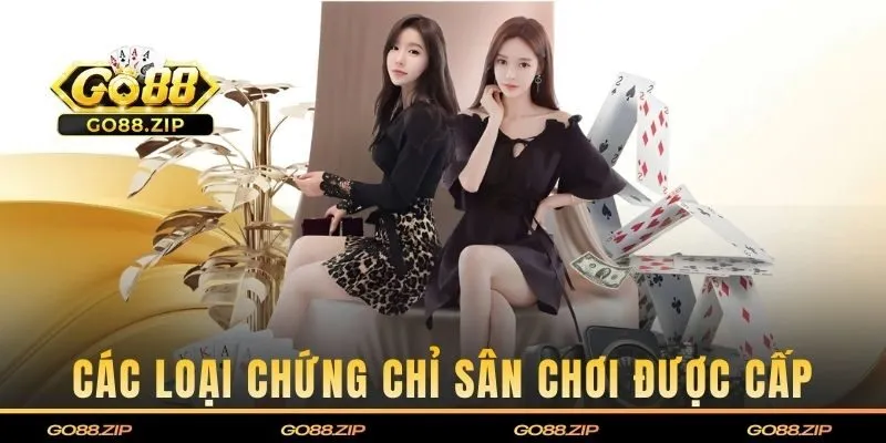 Các loại chứng chỉ sân chơi được cấp