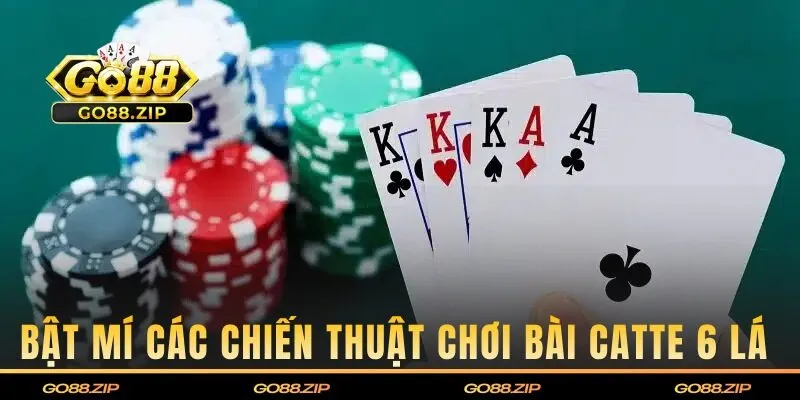 Chiến thuật chơi bài Catte 6 lá từ cao thủ chuyên nghiệp 